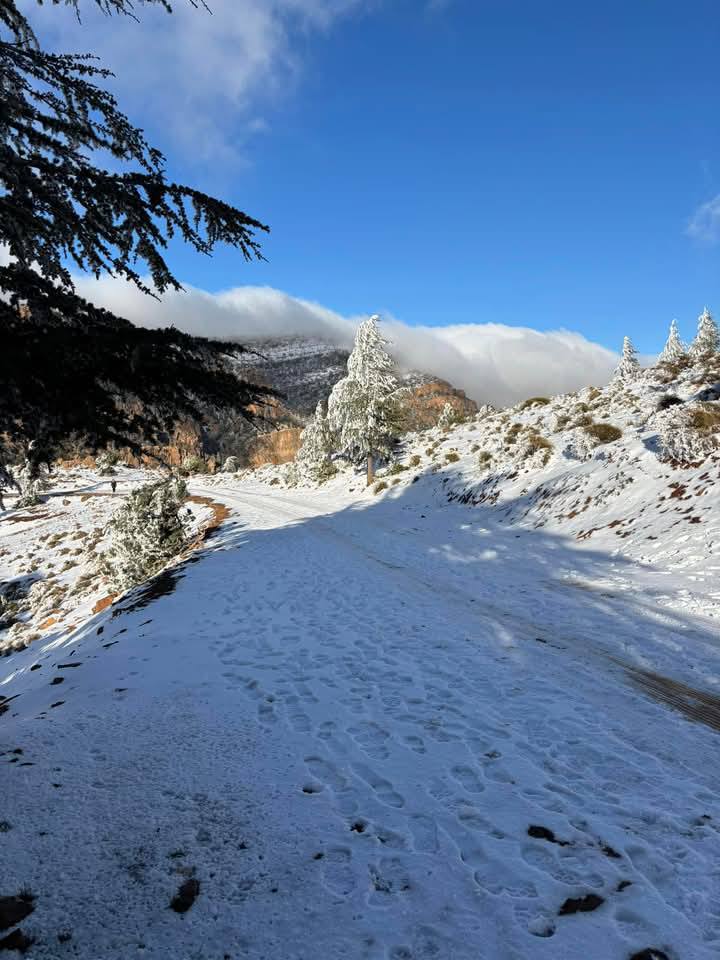 AlgAujourdhui's tweet photo. #Photos
Du Parc National de #Belezma (Batna) https://t.co/GsPkIh49rc