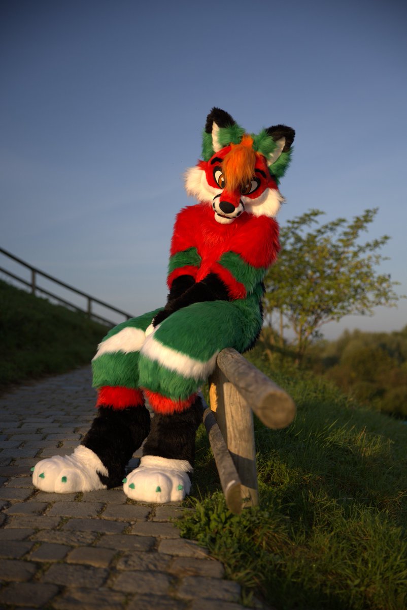 StaRz (@starzfur) on Twitter photo Come closer... i won't bite (much) and enjoy the sunrise with me ๐ฅฐ
#FursuitFriday
๐ท: <a href="/SquashTFC/">Squash ๐พ ๐ Pack Weekend</a> Come closer... i won't bite (much) and enjoy the sunrise with me ๐ฅฐ
#FursuitFriday
๐ท: <a href="/SquashTFC/">Squash ๐พ ๐ Pack Weekend</a>