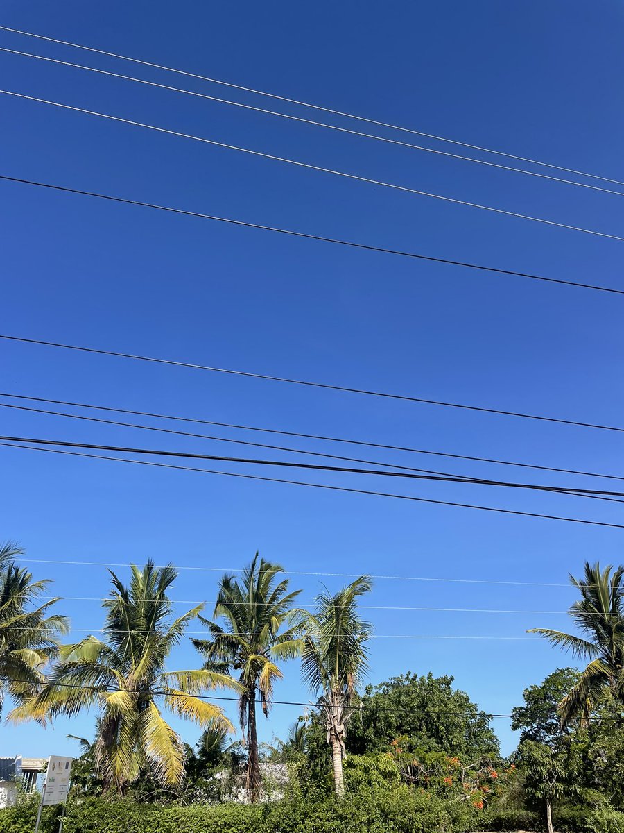 txiviko's tweet photo. #Tropical 🌴 https://t.co/GC6FoqWrCW