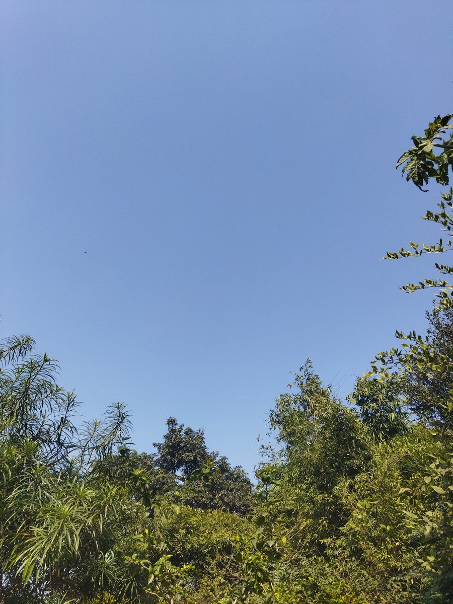 Real_avinash05's tweet photo. Hello Guy's... #Realtimelocattion
🧐 ✈️ https://t.co/pSFf6YHPYY