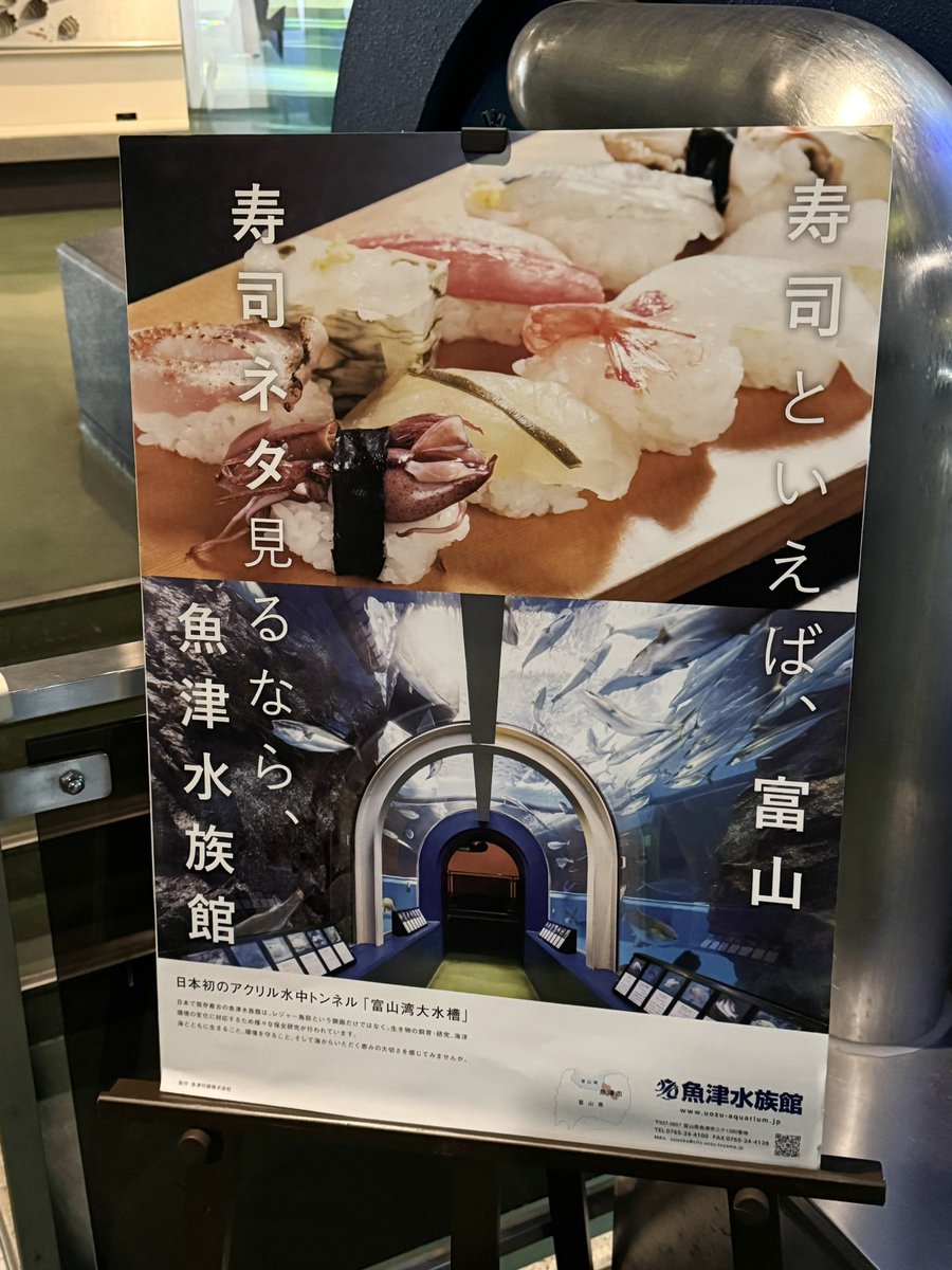 SushiToyama_dao's tweet photo. 寿司といえば、富山。
寿司ネタ🍣見るなら、魚津水族館🐟 https://t.co/QwHowISE3j