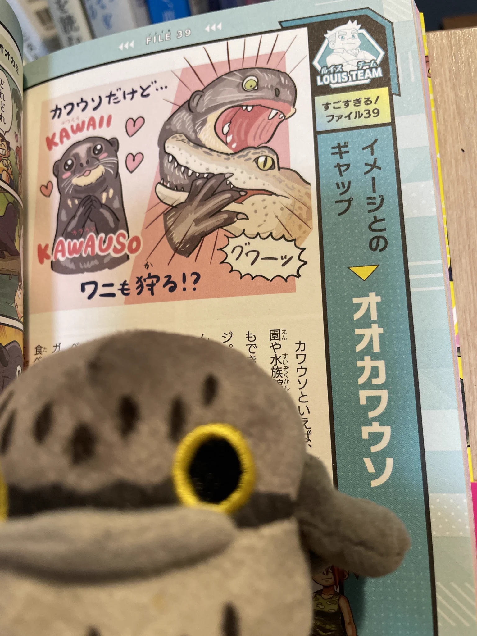 ぬまがさワタリ@特別展「鳥」大阪展（〜6/14） on X: 