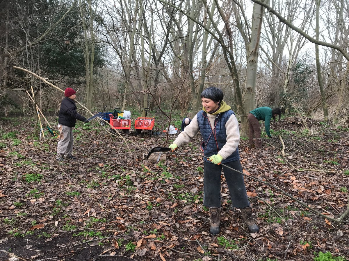 Re Nature London tweet media