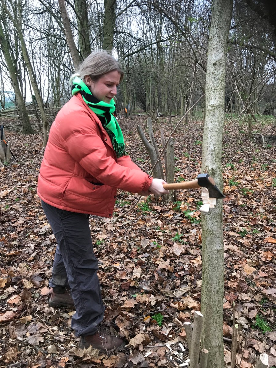 Re Nature London tweet media