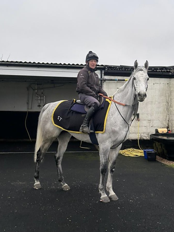 Empire Steele enjoying the sights of <a href="/MarketRasenRace/">Market Rasen Racecourse</a>