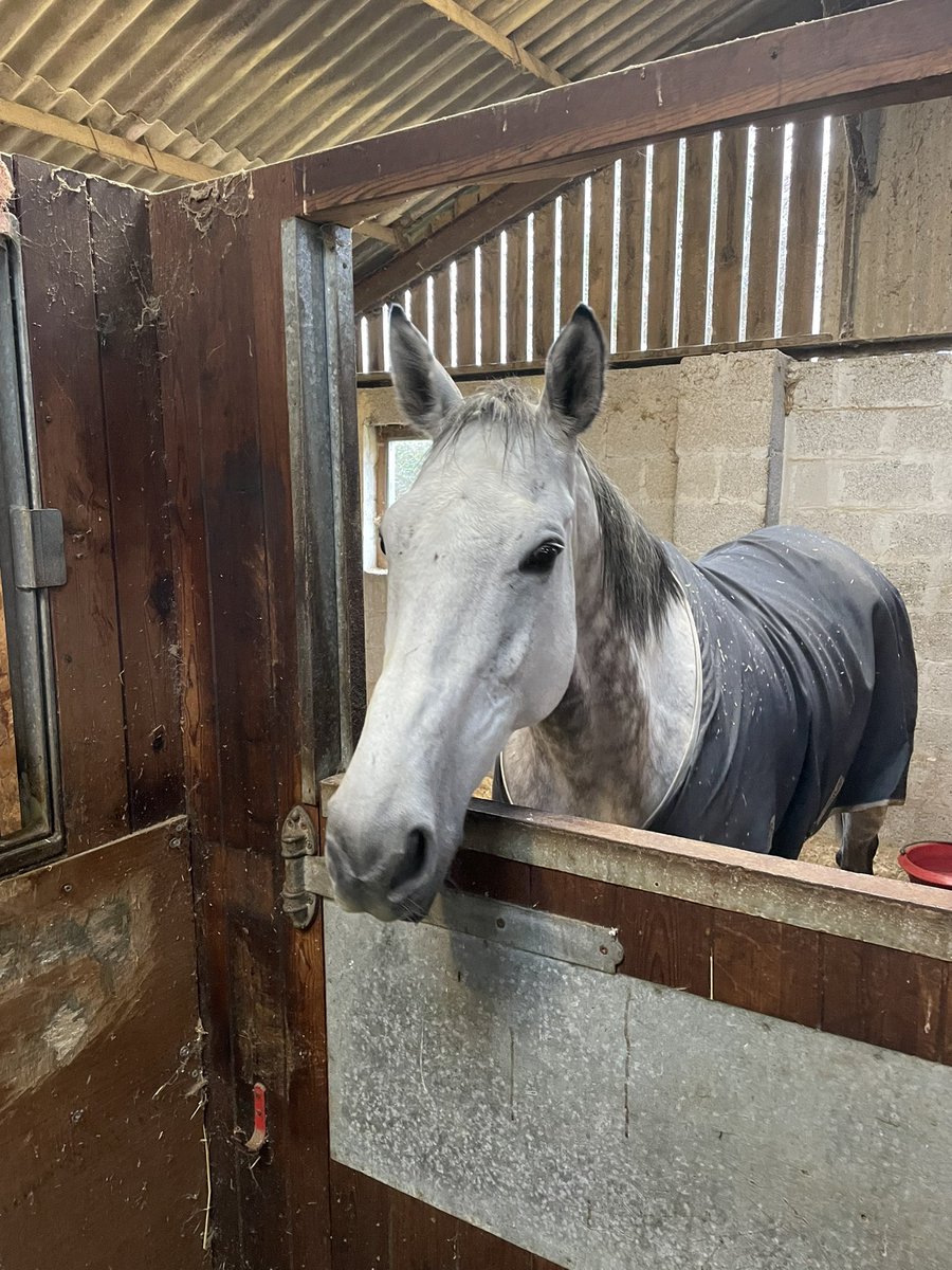 HeatherMainRacing tweet media