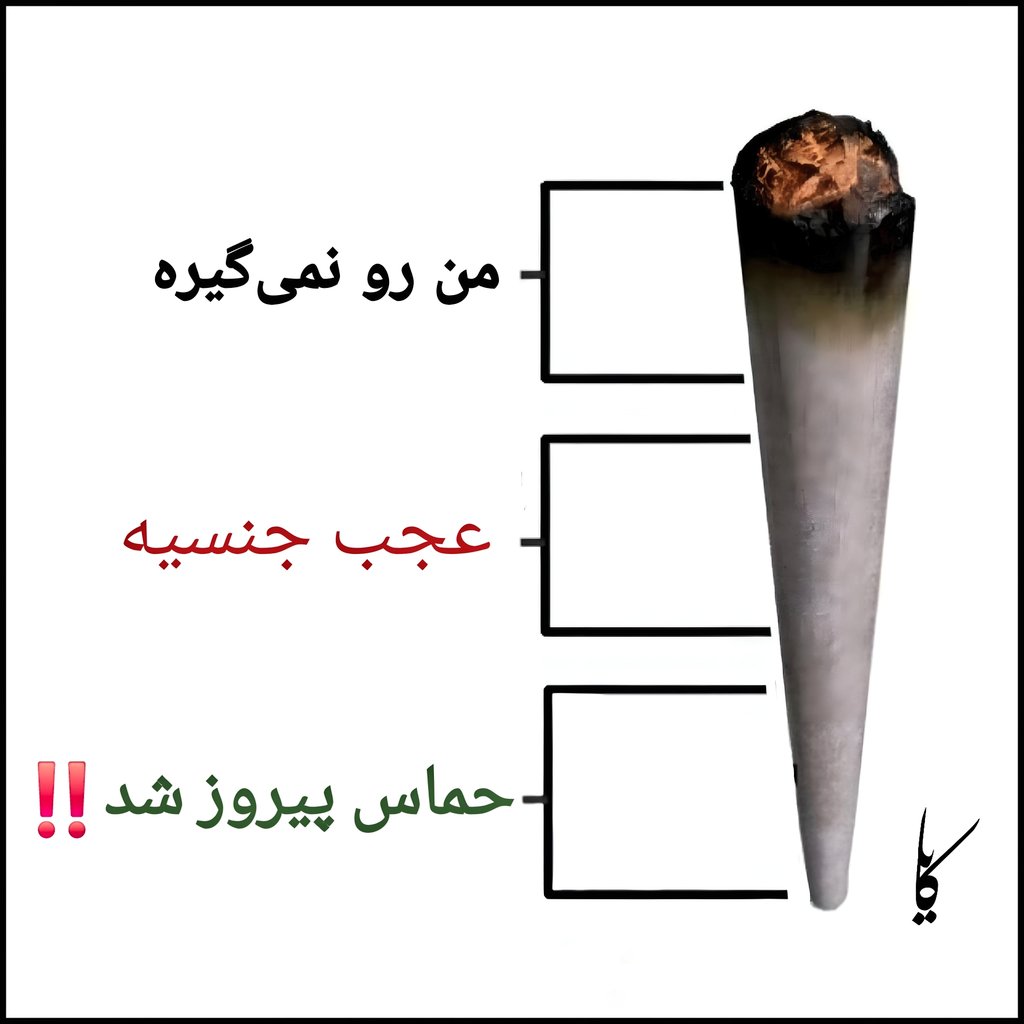 Kaya tweet media