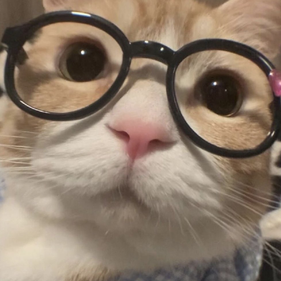 everoomer's tweet photo. meow ? 🐈‍⬛🤓 https://t.co/s1nB4c49wd