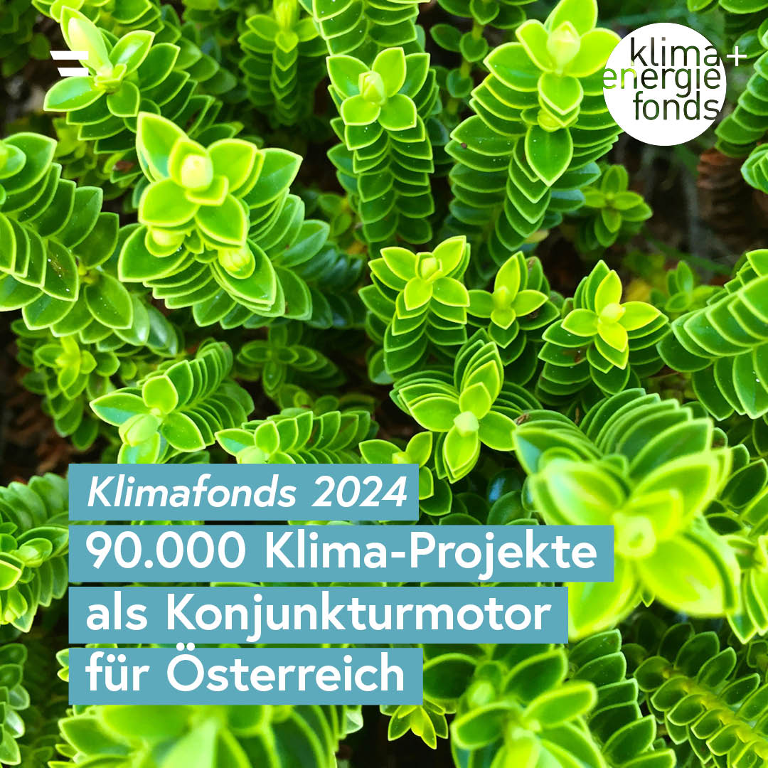 BMIMI (@bmimi_gv_at) on Twitter photo Powerhouse für #Klimaschutz: Via <a href="/klimafonds/">Klima+Energiefonds</a> wurden 2024 dank eines Rekordbudgets über 90.000 Projekte für #Energiewende & Klima-Innovationen unterstützt, die unseren Weg zur Klimaneutralität weiter ebnen & auch soziale Gerechtigkeit im Auge behalten. bit.ly/klimafonds2024 🟢 Powerhouse für #Klimaschutz: Via <a href="/klimafonds/">Klima+Energiefonds</a> wurden 2024 dank eines Rekordbudgets über 90.000 Projekte für #Energiewende & Klima-Innovationen unterstützt, die unseren Weg zur Klimaneutralität weiter ebnen & auch soziale Gerechtigkeit im Auge behalten. bit.ly/klimafonds2024 🟢