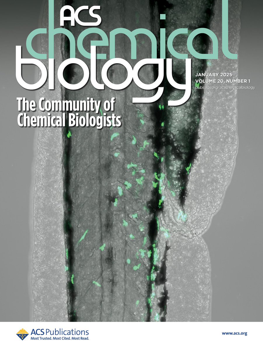 Our latest paper made the cover! 🎉

We developed a library of light-activated molecules designed for precise, localized induction of cell death in biological systems, characterized both in vitro and in vivo.

Read more: pubs.acs.org/doi/full/10.10…