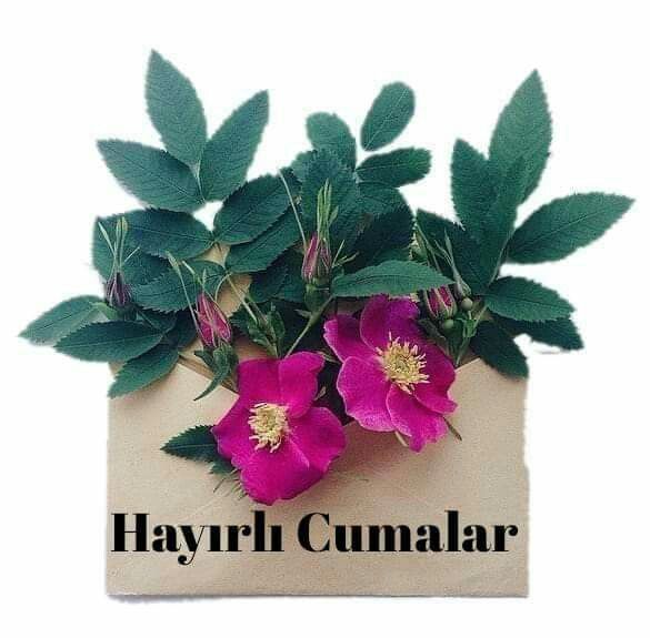 Selam ve dua ile 🤲💕🥰🌹