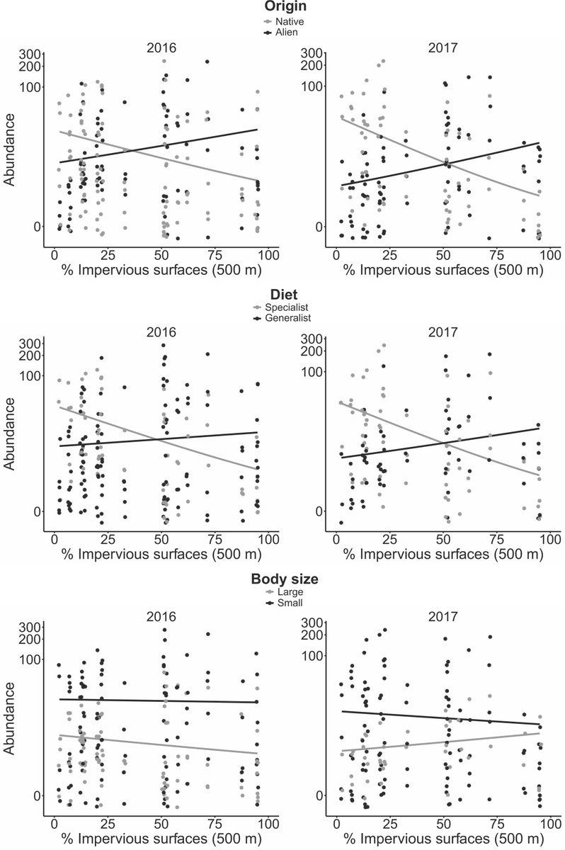 mta-lace.bsky.social tweet media