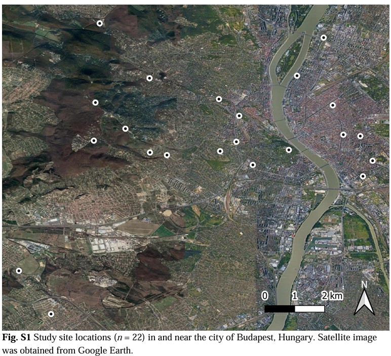 mta-lace.bsky.social tweet media