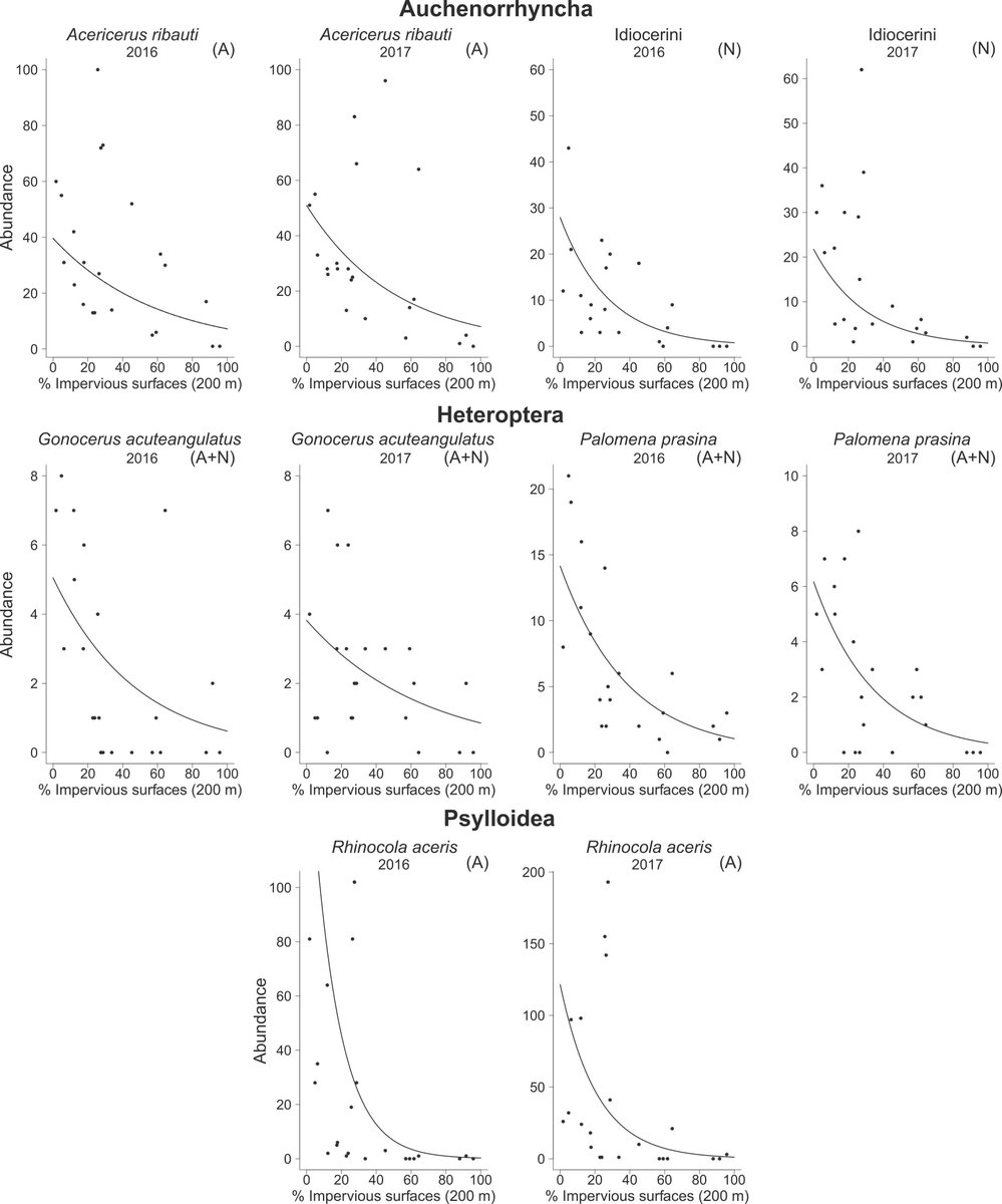 mta-lace.bsky.social tweet media