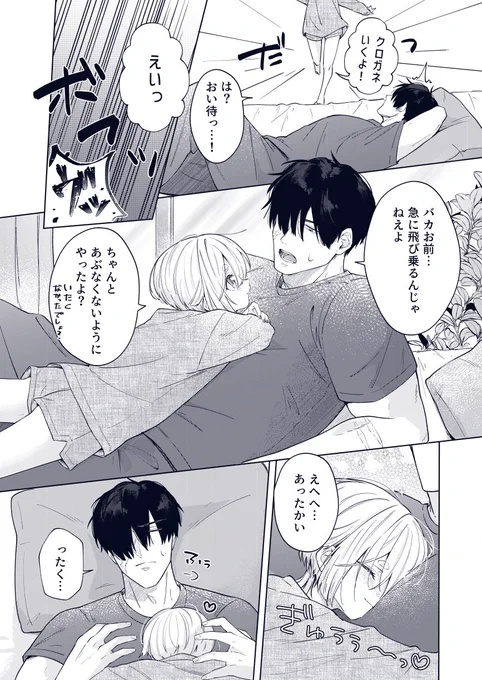 #創作BL

抱き心地のギャップ 