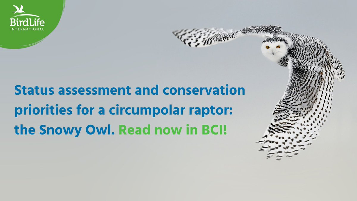New publication: Status assessment and conservation priorities for a circumpolar raptor: the Snowy Owl Bubo scandiacus.

Led by the International Snowy Owl Working Group to present a broad review and status assessment of the species.

Read here: doi.org/10.1017/S09592…