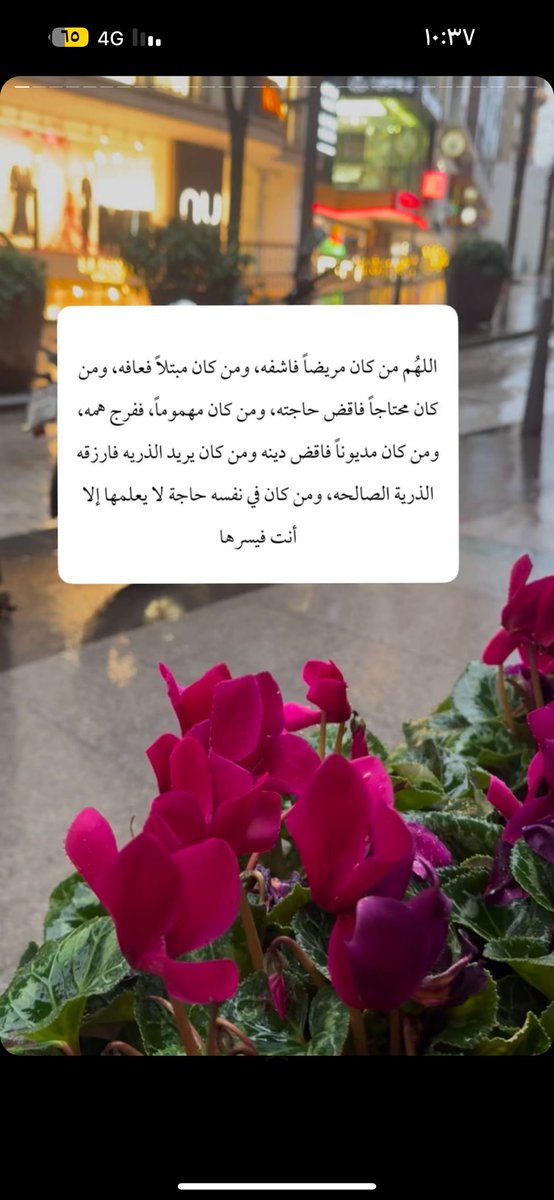 KDsi7s's tweet photo. https://t.co/uoRpy5vVzI