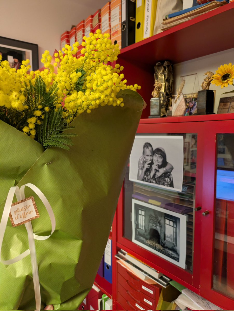Je vous cache pas que recevoir ce magnifique bouquet pour mon passage hier à l'Assemblee Nationale m'émeut à un point que vous n'imaginez même pas. 

J'ai de la chance d'avoir le plus beau métier du monde