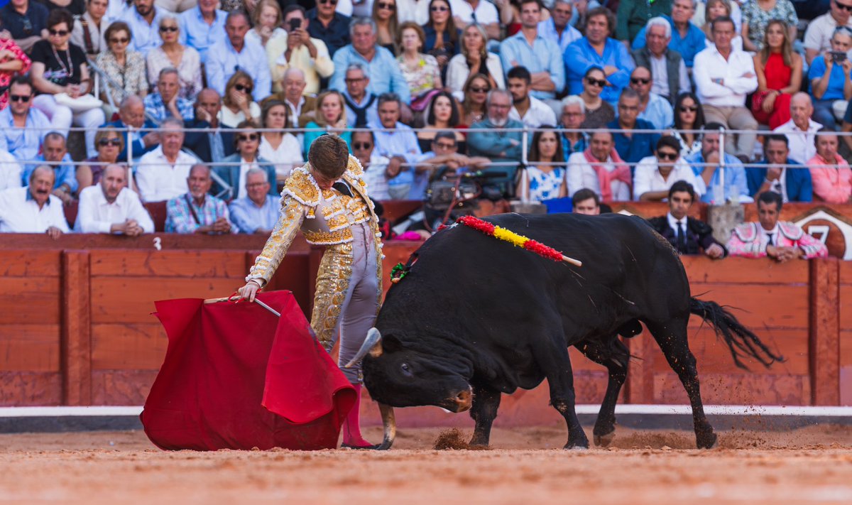 Plaza de Toros de Salamanca - La Glorieta tweet media