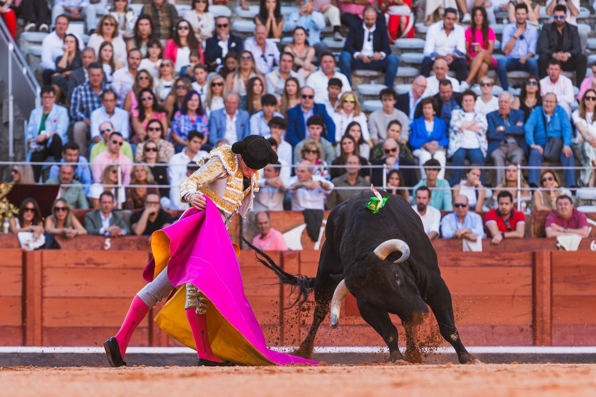 Plaza de Toros de Salamanca - La Glorieta tweet media