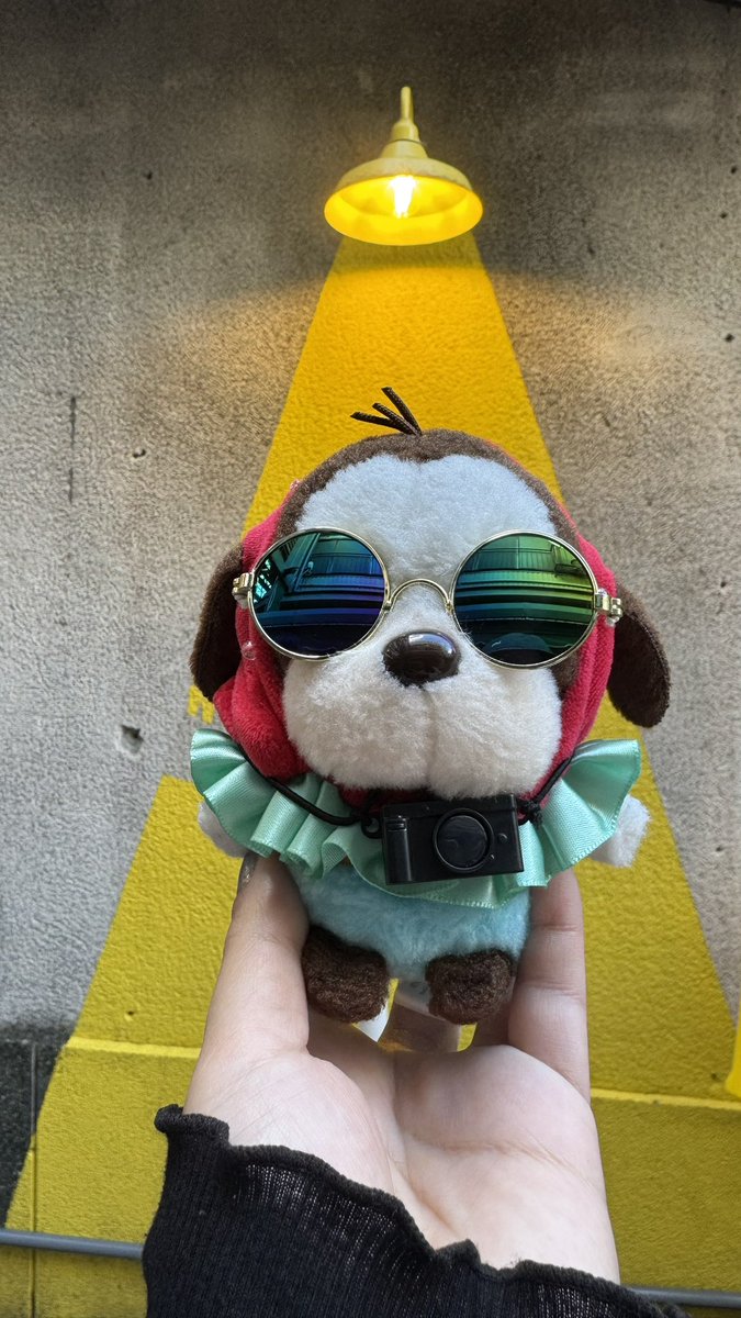 🛸 さらわれて たまるものか

#ぼすさんぽ