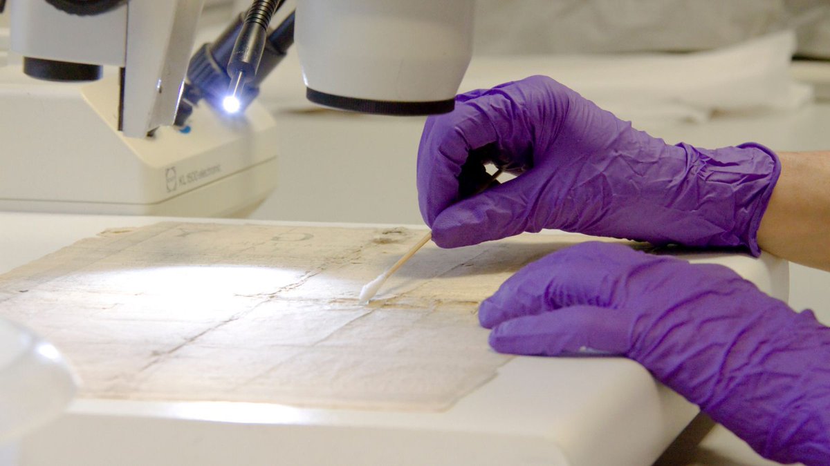 LULGalleries's tweet photo. Could you lead our team looking after hundreds of thousands of rare books, manuscripts, archives, artworks and other objects?

We’re looking for a Conservation &amp; Collections Care Manager for Cultural Collections &amp; Galleries @UoLLibrary

Apply by 31 Jan!
https://t.co/863qrAiLxu https://t.co/q9cIcxuTGU