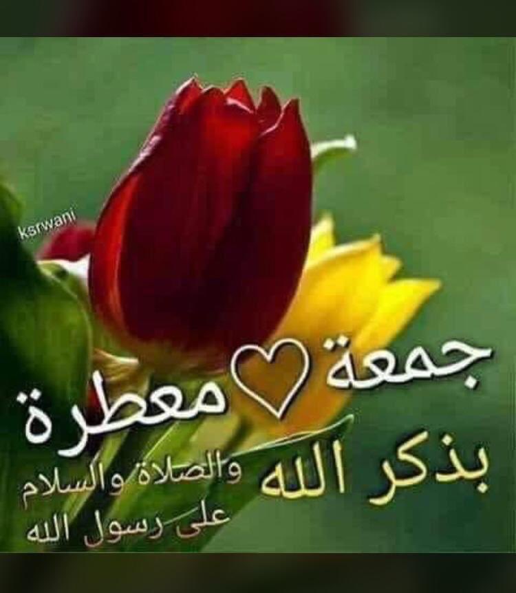 ramz97356830's tweet photo. https://t.co/1jW8APRgz0