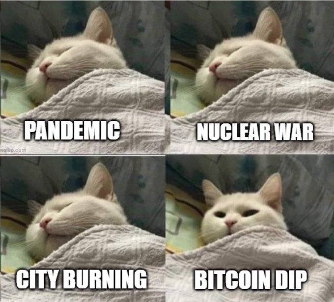 lynk0x's tweet photo. Crypto whales living the life for real https://t.co/kJ1EYEx4Ee