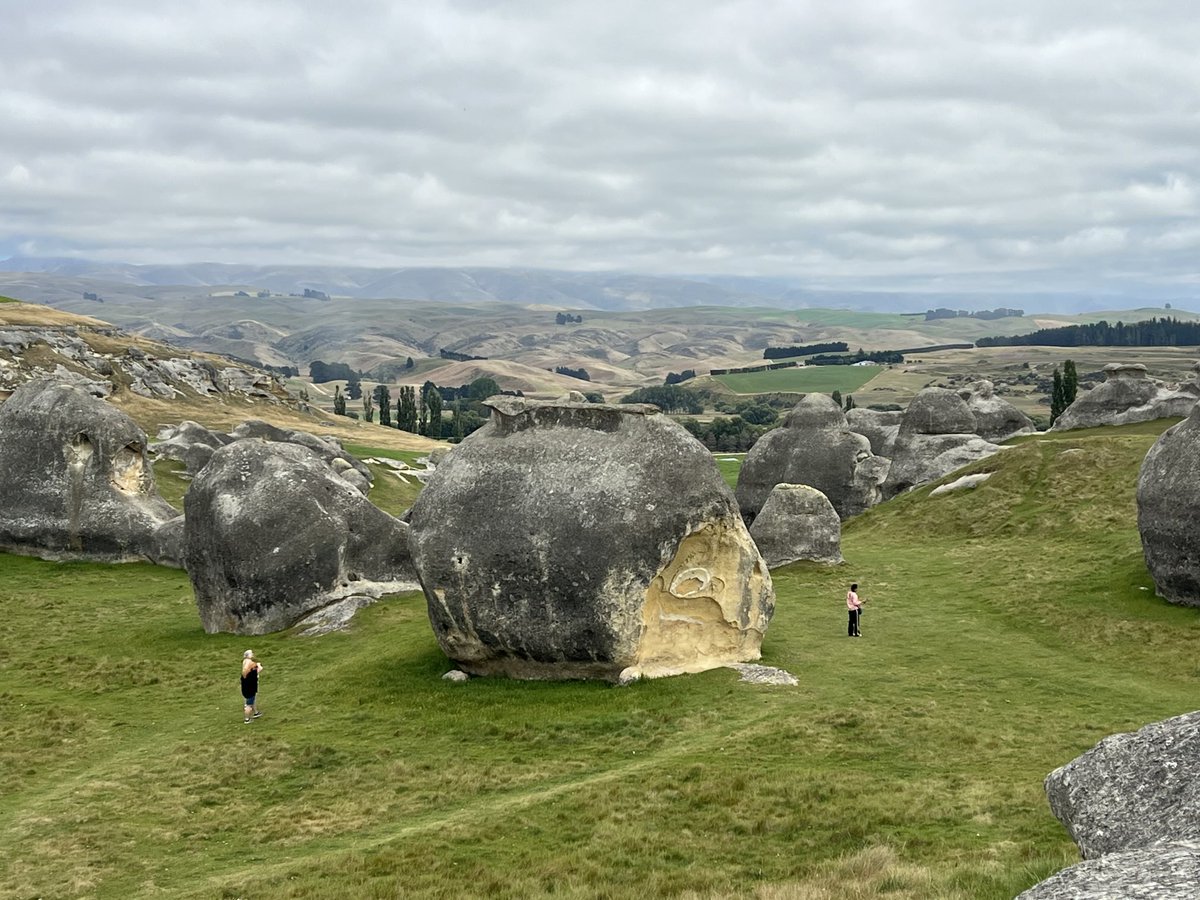 michael partington tweet media