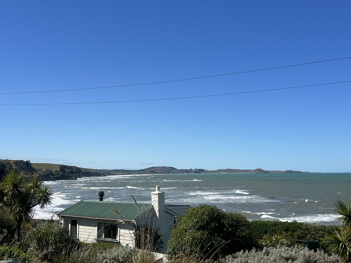 michael partington tweet media