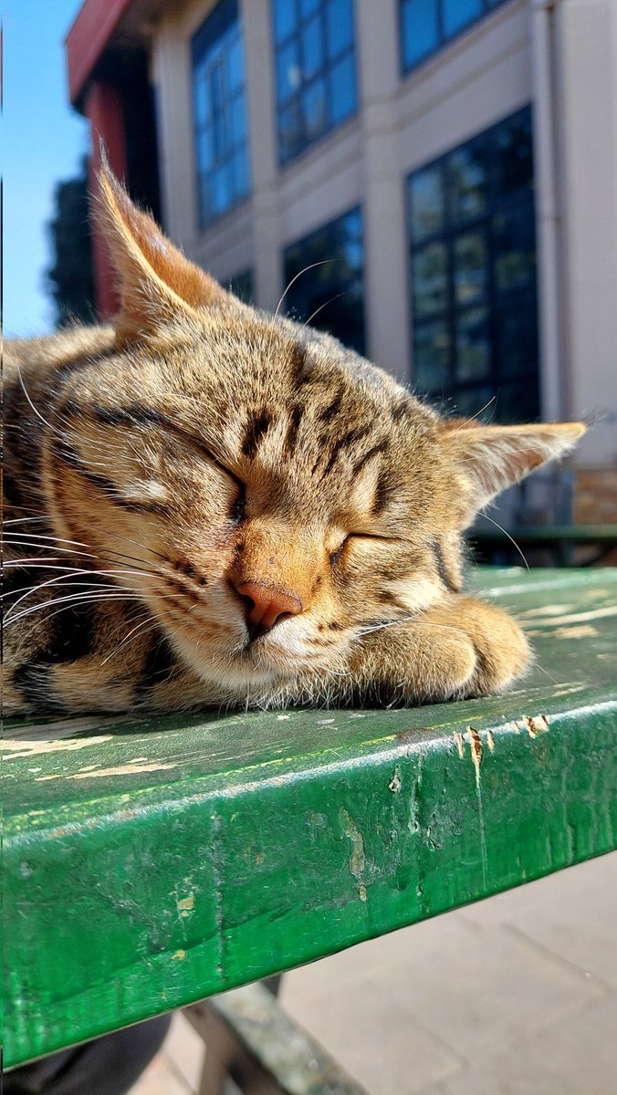 Bir süre erola ve hissettirdiklerine ara..