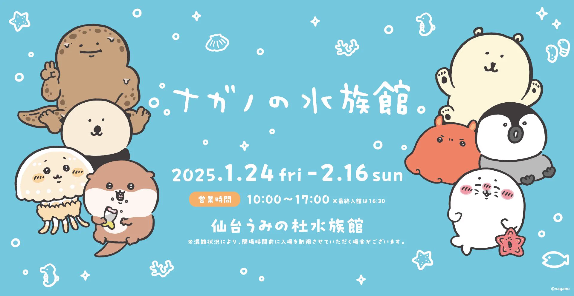 仙台うみの杜水族館公式 on X: 