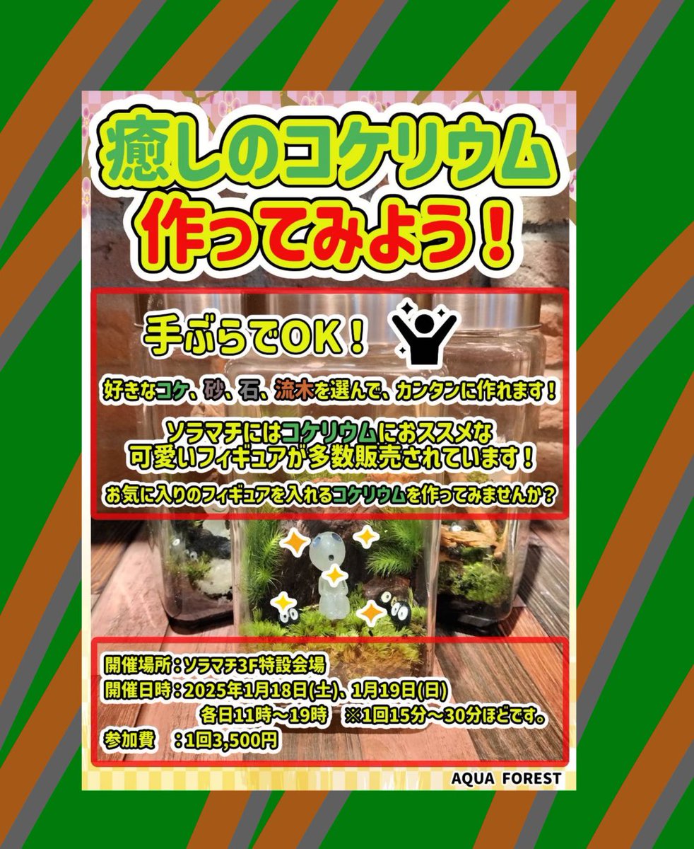 aquaforest_'s tweet photo. ソラマチ
明日18(土)19（日）にベタとマリモとコケリウムのワークショップを開催します！！

ぜひお待ちしております！！ https://t.co/o8okIt9K1t