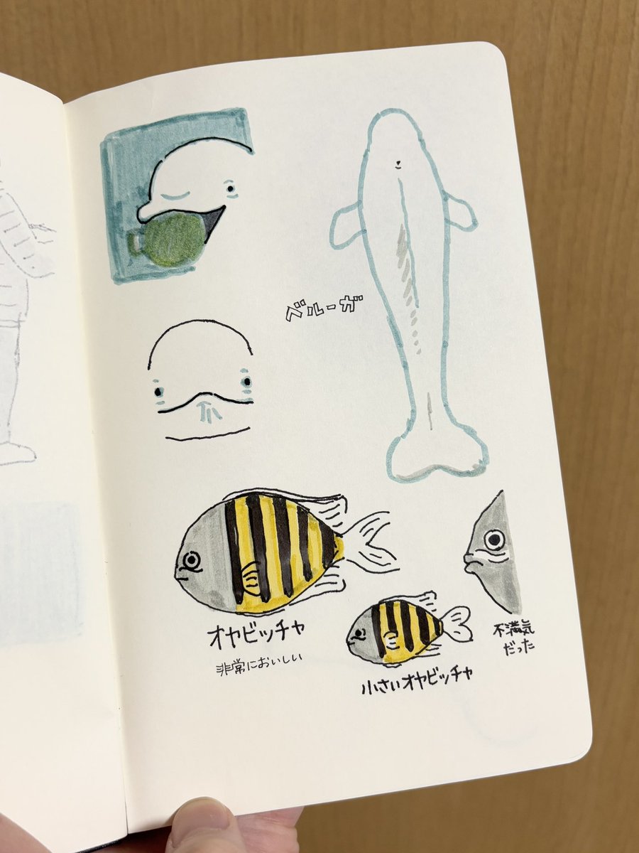 タケウマさんのスケッチワークショップに参加してきました。名古屋港水族館にて。楽しかった…!!ありがとうございました。

最初のページ(左)と最後のページ(右)。
人前でのスケッチが初めてだったので、終始赤面してめちゃくちゃ力んでました。
次はもうちょっとリラックスして臨みたい。 