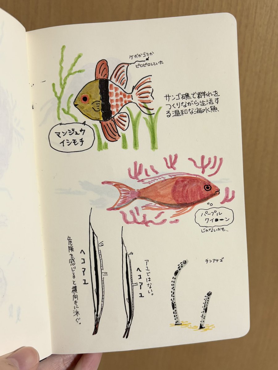 タケウマさんのスケッチワークショップに参加してきました。名古屋港水族館にて。楽しかった…!!ありがとうございました。

最初のページ(左)と最後のページ(右)。
人前でのスケッチが初めてだったので、終始赤面してめちゃくちゃ力んでました。
次はもうちょっとリラックスして臨みたい。 