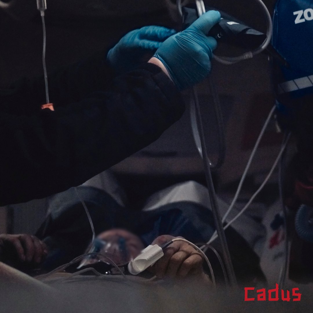 CADUS · Redefine Global Solidarity tweet media