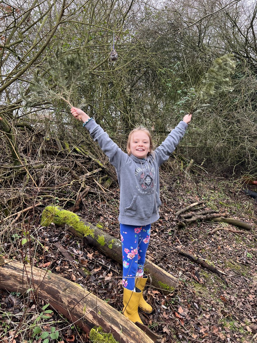 Stonham Aspal CEVA Primary School (@stonhama) on Twitter photo 