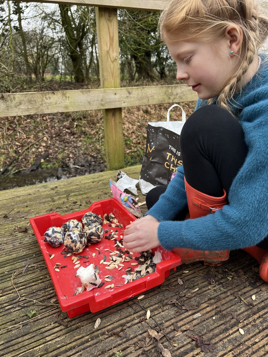 Stonham Aspal CEVA Primary School (@stonhama) on Twitter photo 