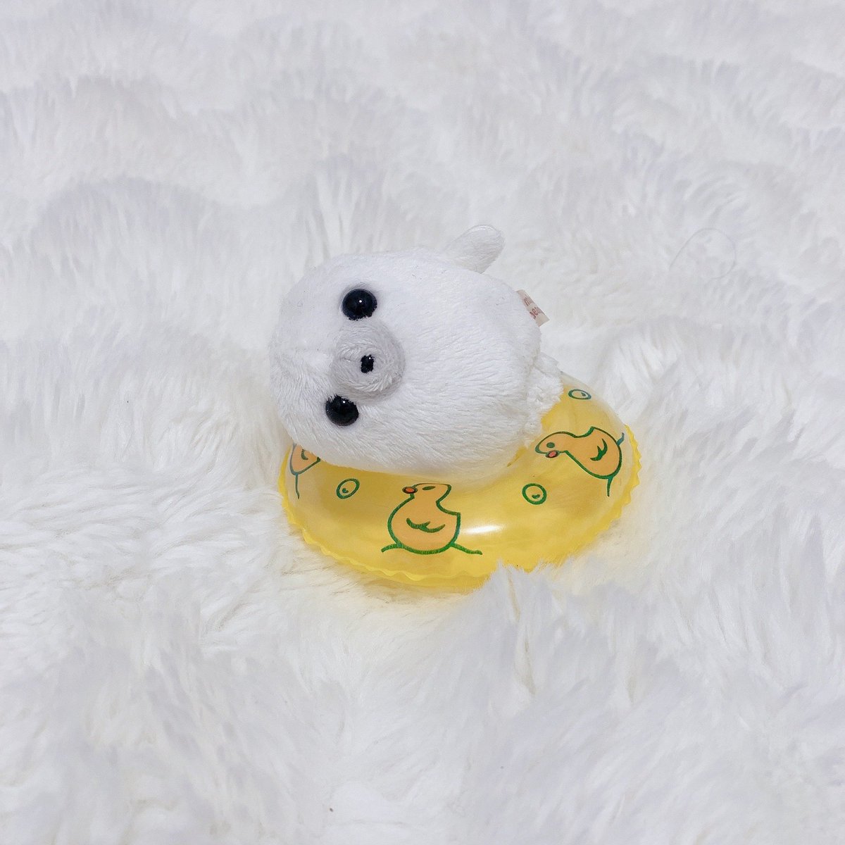 うわき　だめ‼︎