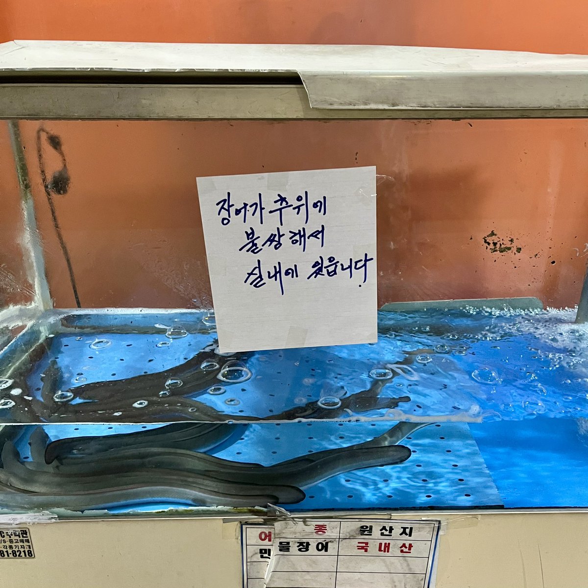 Korean Aesthetics (@koreanasttcs) on Twitter photo 