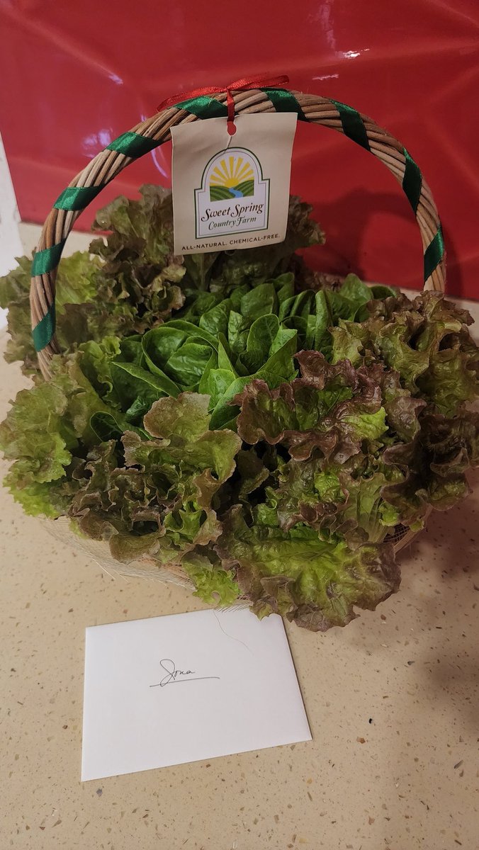 JONA (@msj0na) on Twitter photo Still recovering from wisdom tooth surgery😉
Meanwhile maraming salamat po sir <a href="/kikopangilinan/">Kiko Pangilinan</a> and ms.<a href="/sharon_cuneta12/">Sharon Cuneta</a> for these fresh produce 💚 <a href="/sweetspringfarm/">Sweet Spring Farm</a> Still recovering from wisdom tooth surgery😉
Meanwhile maraming salamat po sir <a href="/kikopangilinan/">Kiko Pangilinan</a> and ms.<a href="/sharon_cuneta12/">Sharon Cuneta</a> for these fresh produce 💚 <a href="/sweetspringfarm/">Sweet Spring Farm</a>