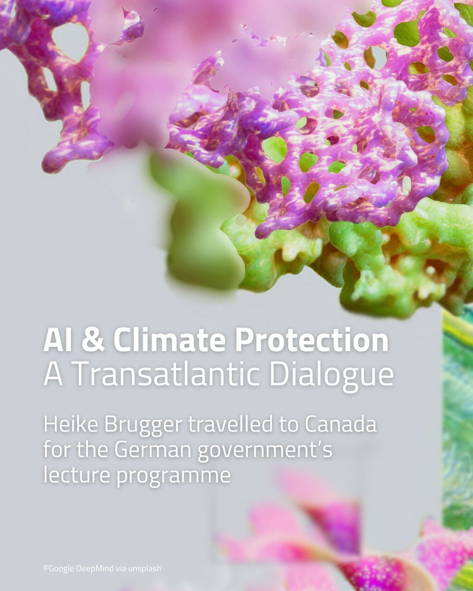 ifa - Research on International Cultural Relations tweet media