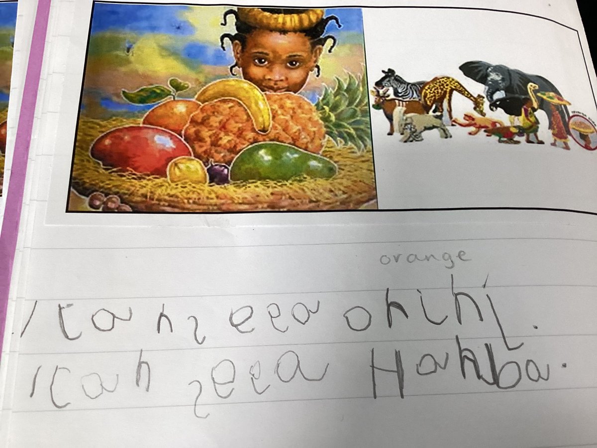 ArchibaldFirst's tweet photo. This week Reception have loved learning lots of new words from our core book,Handa’s Surprise. We have been using our new sounds to write words. We are so impressed. #AFSLiteracy https://t.co/K5gJYLevBj