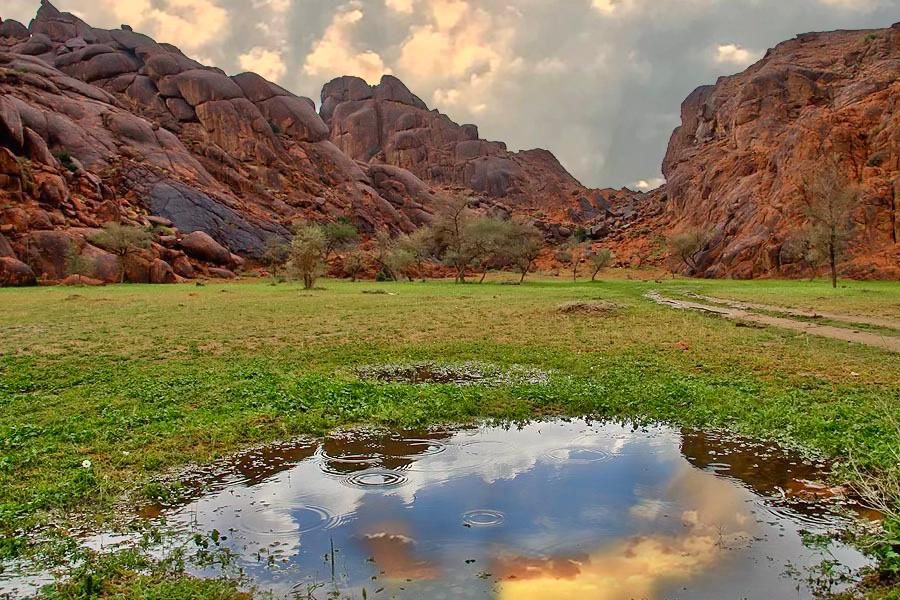شغفه في التصوير الفوتوغرافي ارتبط ارتباطًا وثيقًا بروح حايل المدينة . جعل من عدسته وسيلة للتعبير عن جمالها وحيويتها وتراثها . اقتنص اللحظات الفريدة كصياد ماهر ليقدّمها بكل رحابة صدر لعشاق حايل .
إنه ابن العم بدر بن عبدالله تركي البكر <a href="/Badr_ab1/">بدر البكر</a> ، له في كل صورة قصة .
#شتاء_حائل