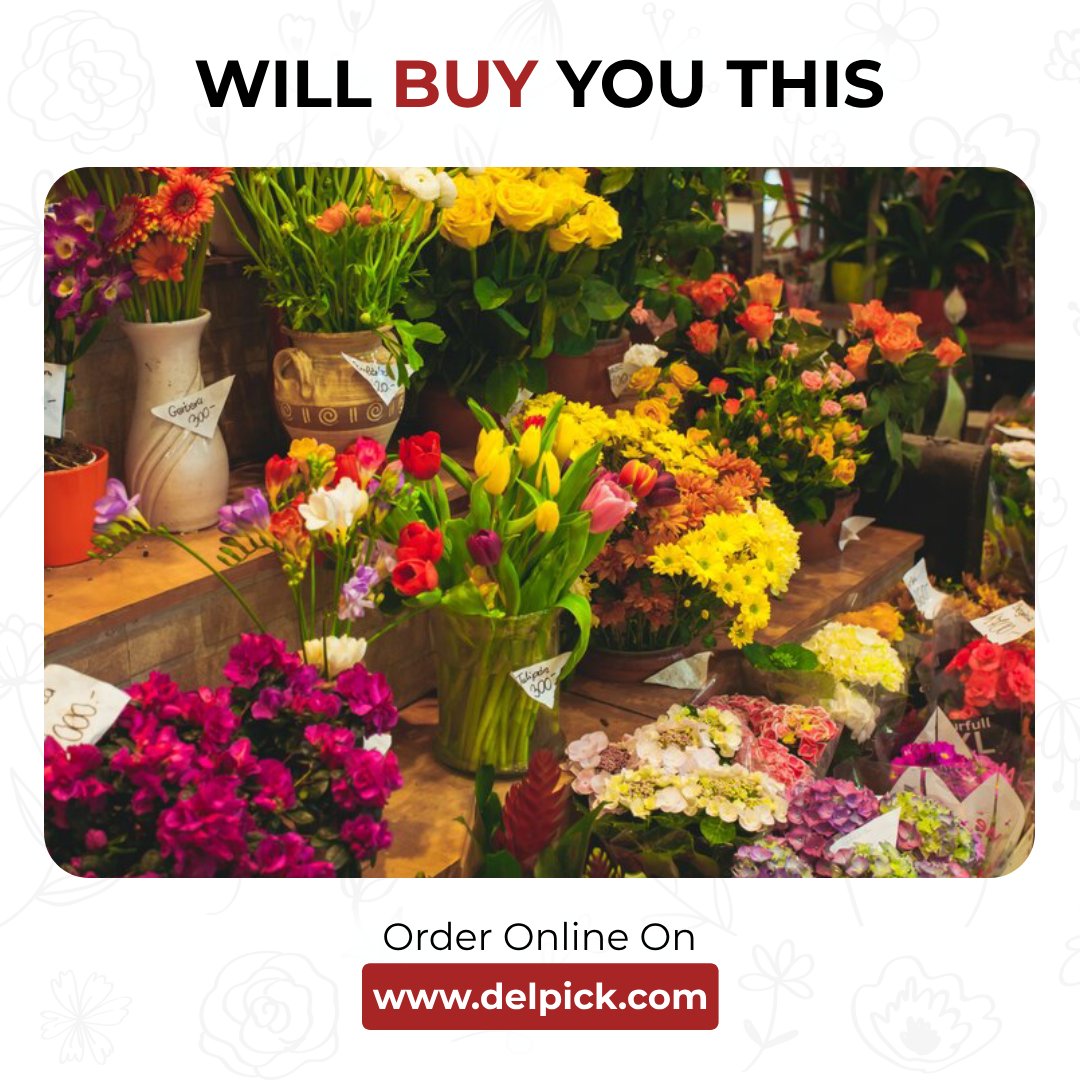 Delpickofficial's tweet photo. Tag your crush and drop an indirect hint. 👀

Order flowers now at >> https://t.co/MCvCiKJsKG

Get 5$ Off On Your First Order, Use Code DELPICK2

#delpick #flowerdelivery #pasadena #freshflowers #giftideas #localbusiness #delivery #quickdelivery #flowerdelivery #localflorist https://t.co/CWT4JZPCPq