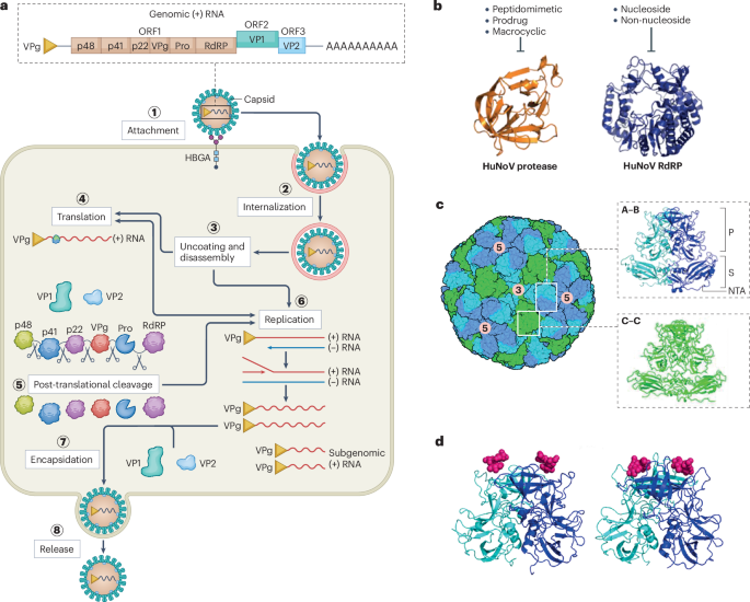 Nature Reviews Microbiology tweet media