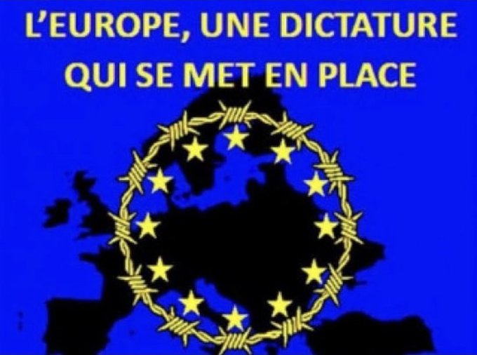 Yannick Molitor🇧🇪 tweet media