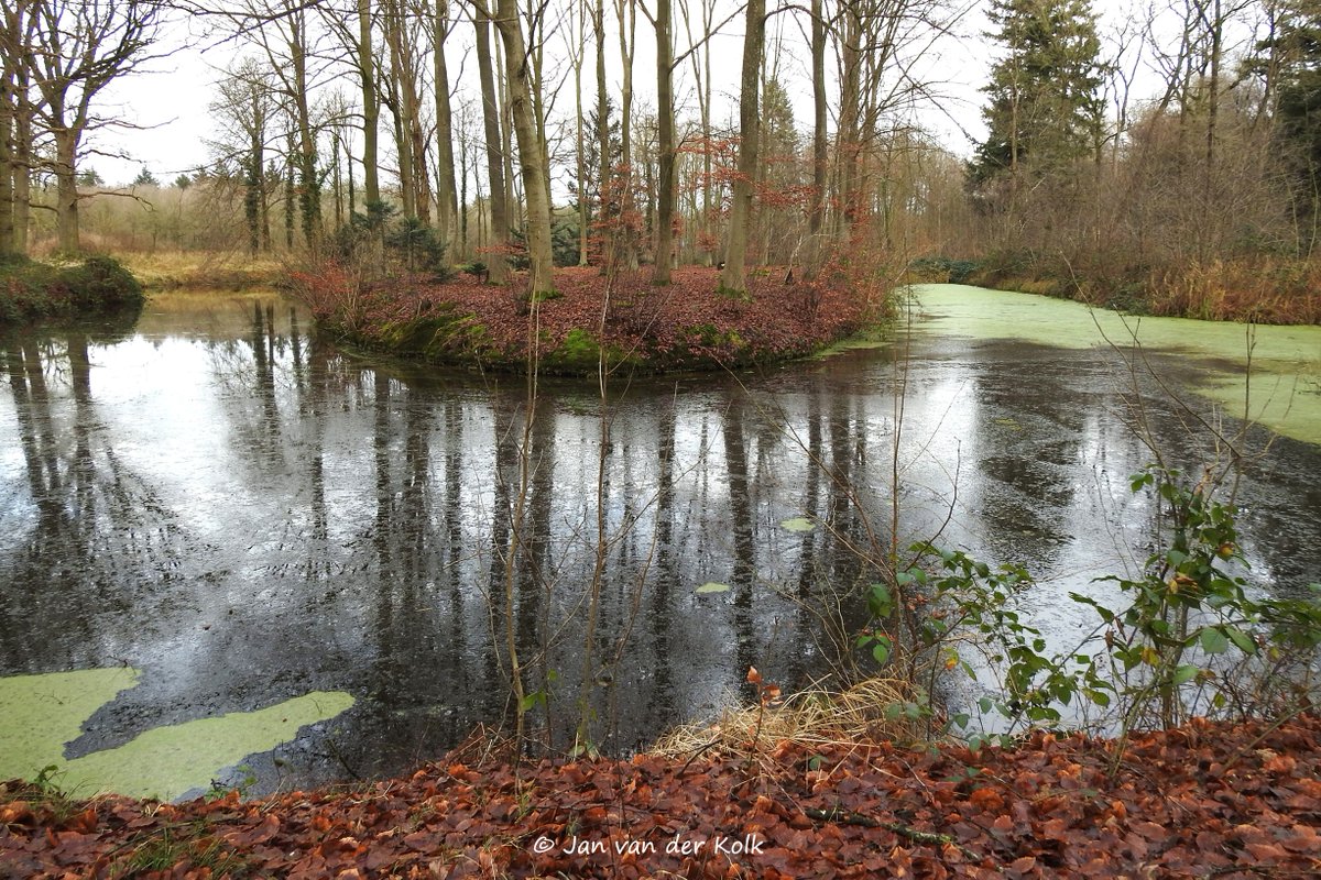 BekiekTwente's tweet photo. Parkbos op Landgoed Nijenhuis is begin 19e eeuw aangelegd in de Engelse landschapsstijl met kronkelende paden, waterpartijen, bruggetjes en doorkijkjes.
#Diepenheim #Deepn
#HofVanTwente #Twente #BekiekTwente https://t.co/SrYdLGYSlr