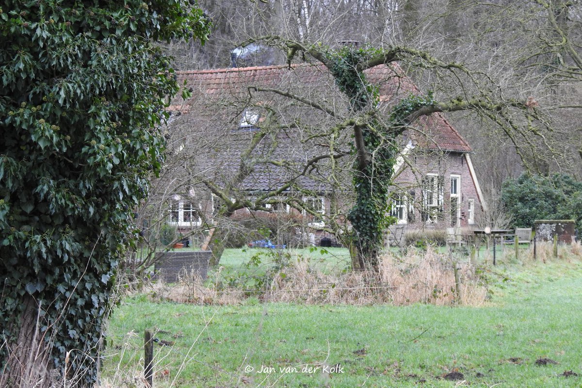 BekiekTwente's tweet photo. Parkbos op Landgoed Nijenhuis is begin 19e eeuw aangelegd in de Engelse landschapsstijl met kronkelende paden, waterpartijen, bruggetjes en doorkijkjes.
#Diepenheim #Deepn
#HofVanTwente #Twente #BekiekTwente https://t.co/SrYdLGYSlr