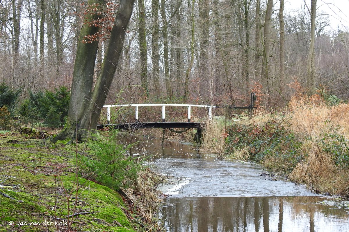 BekiekTwente's tweet photo. Parkbos op Landgoed Nijenhuis is begin 19e eeuw aangelegd in de Engelse landschapsstijl met kronkelende paden, waterpartijen, bruggetjes en doorkijkjes.
#Diepenheim #Deepn
#HofVanTwente #Twente #BekiekTwente https://t.co/SrYdLGYSlr